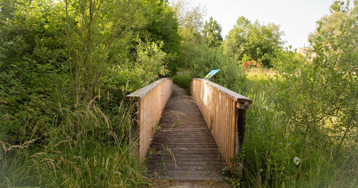 Botanischer Garten Salzburg © Silja Parke - Wilde Möhre Blog